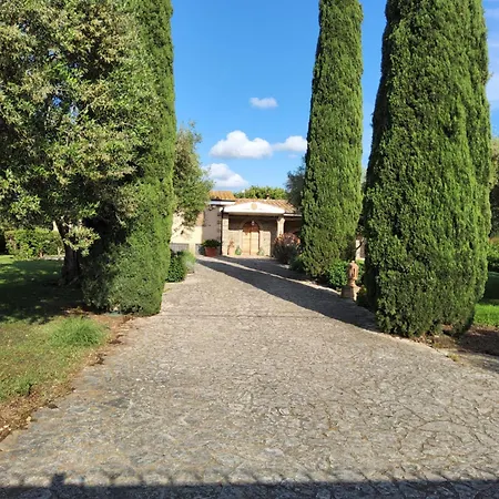 La Casina Sul Pepe Rosa Marina di Cerveteri